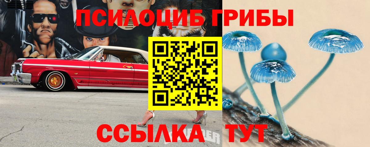 Галлюциногенные грибы прущие грибы Минусинск