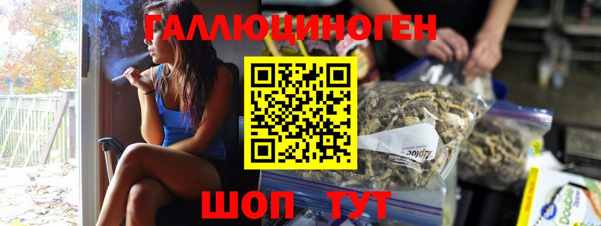 купить наркотики цена  Галлюциногенные грибы мицелий  Вход с VPN  Минусинск  Псилоцибиновые грибы Psilocybe 